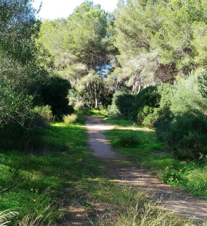 Appartement Pinos Cala Murada (Mallorca)